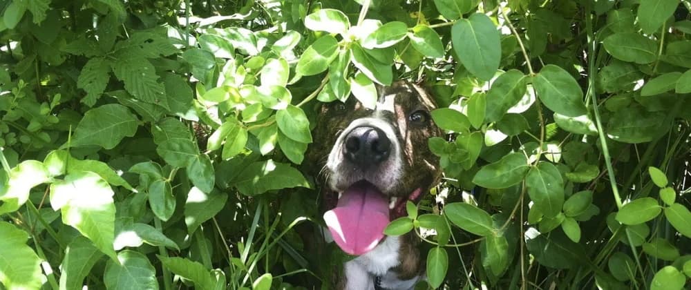 Debugging production with hidden modals